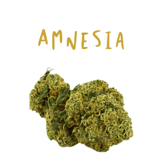 Amnésia cbd, fleur cbd amnésia, fleur puff cbd