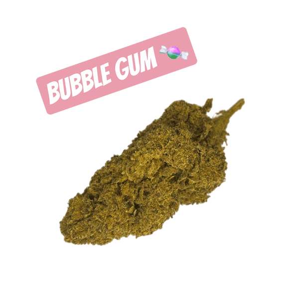 bubble gum cbd 