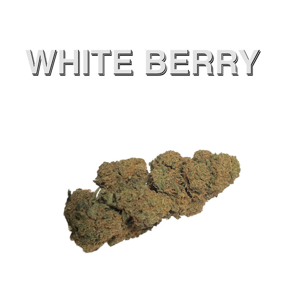 white berry cbd , puffcbd.fr , puffcbd91 , puffcbd 