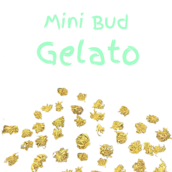 Mini Bud Gelato PUFFcbd 